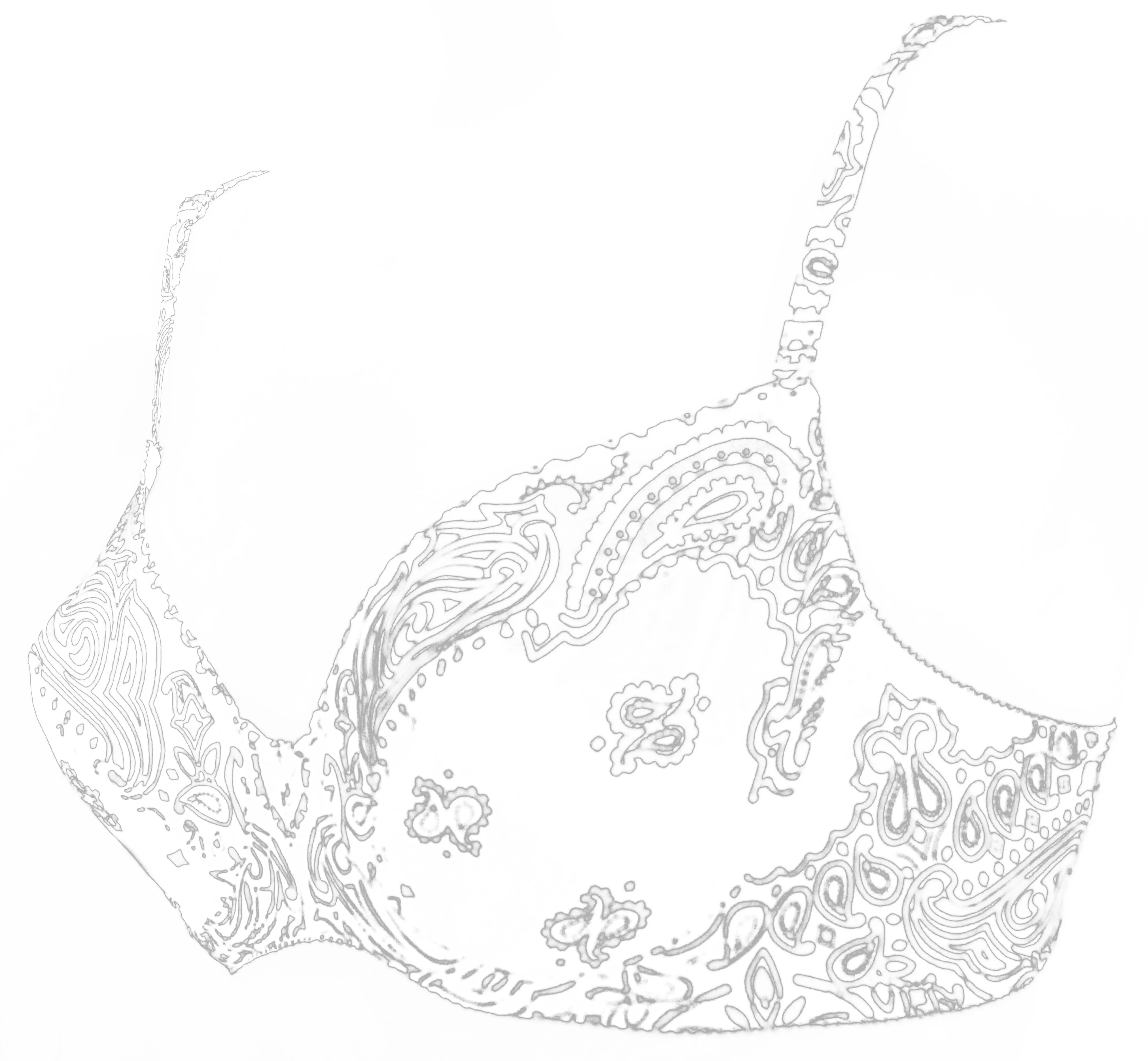 Bandanna Print Underwired Cotton Bra